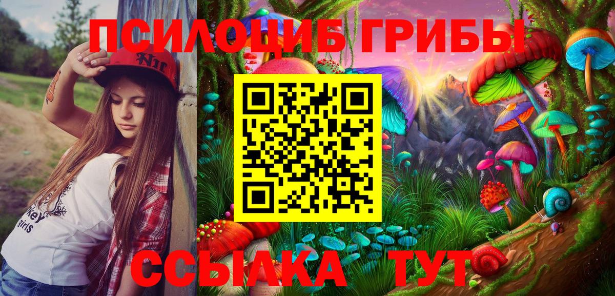 Псилоцибиновые грибы Psilocybe  Вход с VPN  Ростов-на-Дону 